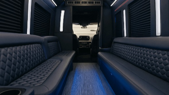 Interior of Hamilton Party Bus Company's 28 Passenger Party Bus in Hamilton